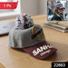 chicago cap