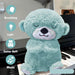 Soft Plush Musical Teddy Bear Toy with LED Light (1 Pc) by Your Brand