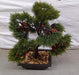 Artificial plant in a square pot with decorative look